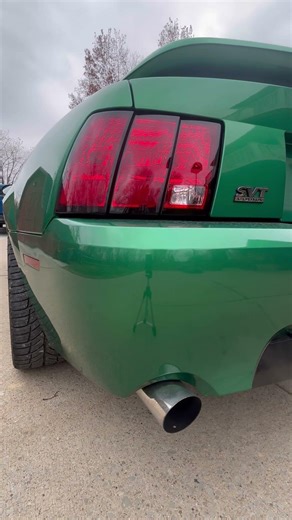 Dreaming of Spring So There’s More of This