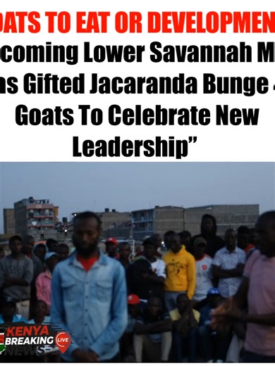 Goats vs Development: A New Leadership Debate in Jacaranda
