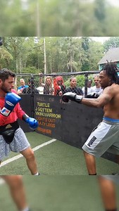 Boxer vs brawler | The Scrapyard