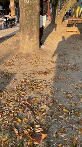 43K views · 2.1K reactions | Hay de códigos a códigos #2025goals #reelschallengefacebook | El de los códigos vírales | Facebook