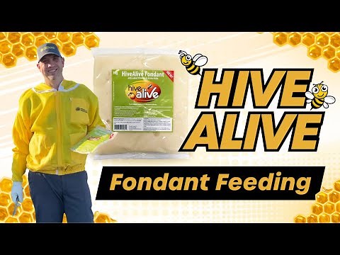 How to Feed Your Hives with Hive Alive Fondant | HillCo, LLC
