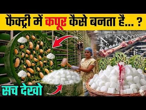 देखिए कपूर कैसे बनता है ? | Kapoor Kaise Banta Hai Factory Mein | Camphor Manufacturing Process
