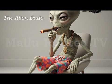 Did you like Earth? The Alien Dude