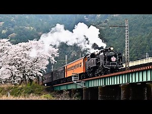 【C11 190】春雨の大井川鐵道【さくらHM】20210328
