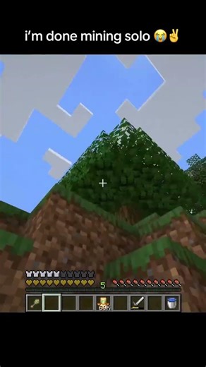 How Minecraft Players ACTUALLY Start a New World