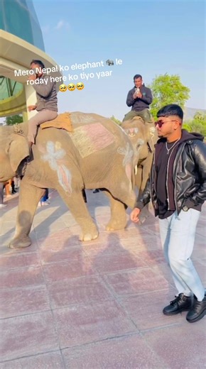 Emotional Moment with Elephant in Qatar’s Al Khor Park