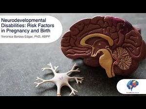 Neurodevelopmental Disabilities: Risk Factors in Pregnancy and Birth