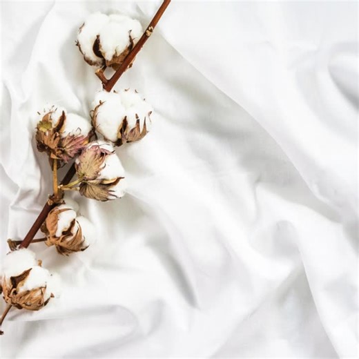 Control Union celebrates World Cotton Day and sustainable cotton | Control Union Bangladesh      (CU Certifications Ltd.) posted on the topic | LinkedIn