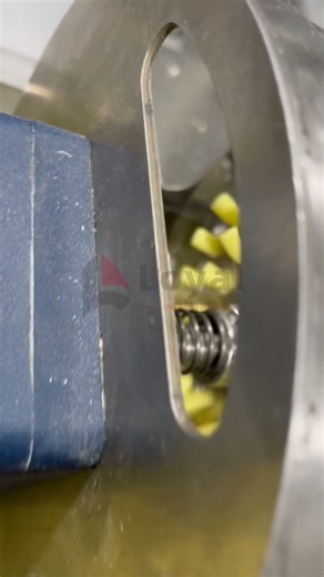 Meet our Pasta Transformer: Model 200 Elbow Macaroni Machine!#macaronimachine +86 13256674591