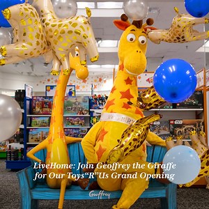 Macy's on Reels