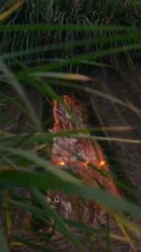 I Built My Dream House Out of Shipping Containers🔥 home design