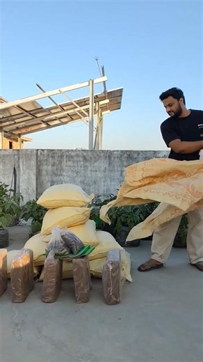 Cocopeat, Vermicompost, Neem Khali & Sarso Khali Bulk Me Mangwaya | Grow Bag Gardening Setup