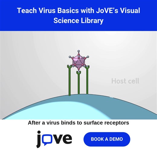Viruses 101: What They Are & How They Work This JoVE video introduces viruses and how they replicate inside host cells. • Explains DNA vs. RNA viruses • Shows uncoating, replication, and host takeover • Supports state standards in microbiology and infectious disease Perfect for virus intro units in life science or biology. 👉 Book a 15-minute demo to explore JoVE’s virology series: https://www.jove.com/schools/k12-lp-social-media?utm_campaign=13658142-K12schools_Q2_2025_FB_Organic_Social - - #Jo