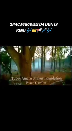 PACS LIFE, 21 GUN SALUTE MAKAVELI THE DON IS KING THE GREATEST TO EVER DO IT, G.O.A.T, PLEASE ENJOY ONE OF MY FAVOURITE 2PAC TRIBUTE SONGS #ASHANTI #PACSLIFE #FYP #2PAC #THUGLIFE SUPPORT FOR SUPPORT ALWAYS
