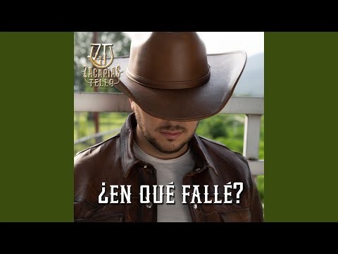 ¿En Qué Fallé?