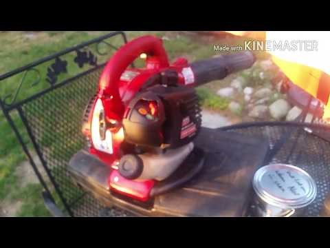 How to repair Sears Poulan leaf blower that won't start