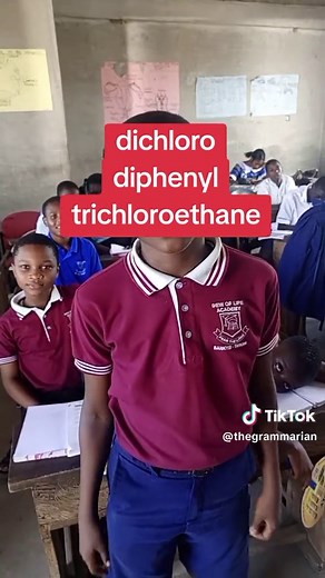 DDT Full Meaning: Dichlorodiphenyltrichloroethane Explained