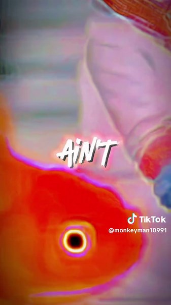 Explore the Fun World of Gumball and Darwin Tuff