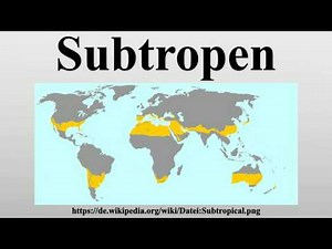 Subtropen