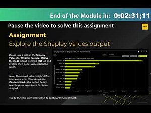 Assignment 6 - Explore the Shapley Values output / DAI Starter Course