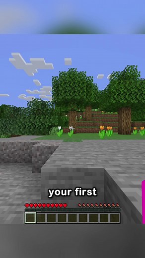 The First Minecraft World