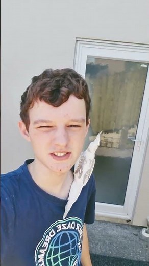 Check em out! https://lukevrisagamer.wixsite.com/luke-jansen-photogra