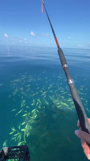 6.3K views · 40 reactions | Tag a friend that still wouldn’t catch a fish #fishingislife #fishingtrip #fisherman #oceanlife #ocean | Daily Fishing Stories | Facebook