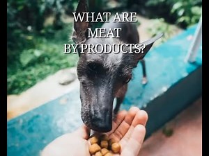 WHAT ARE MEAT BY-PRODUCTS?