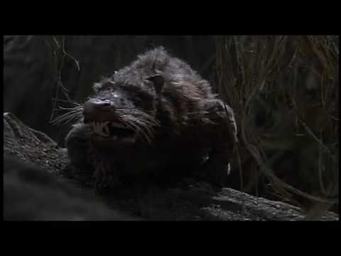 The Princess Bride -RODENTS OF UNUSUAL SIZE (ROUS)