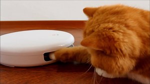 5.9K views · 45 reactions | Die Kleine hat so lange gespielt, bis sie...