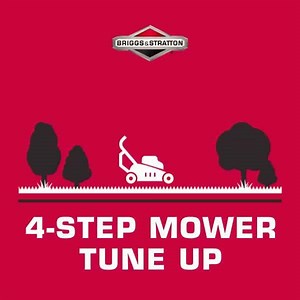A tune up probably isn't as hard as you think. Click here to get the step-by-step. | Briggs & Stratton | Facebook