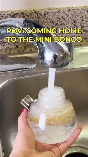 Coming Home to The Mini Bongo ❇️