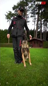 TARGET ↔️ SWITCH #shorts