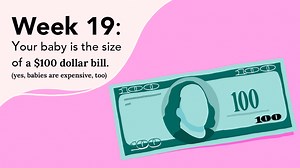 Your Pregnancy: Week 19