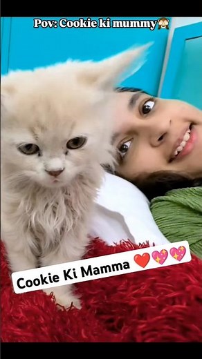 Cookie Ki Mamma | AI ROUTINE |Pihu Cookie | Aayu and Pihu Show | Video Credit- ‎‎‎‪@AayuandPihuShow‬