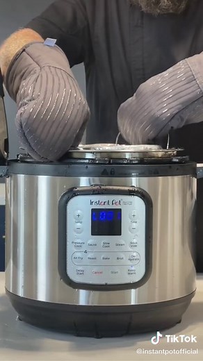 Preserve Leftovers' Taste & Moisture with Instant Pot Steam Function