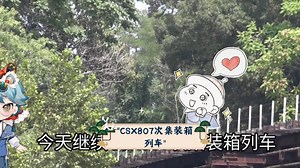 CSX807次集装箱列车