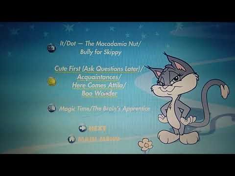 Animaniacs Volume 4 Disc 3 DVD Menu