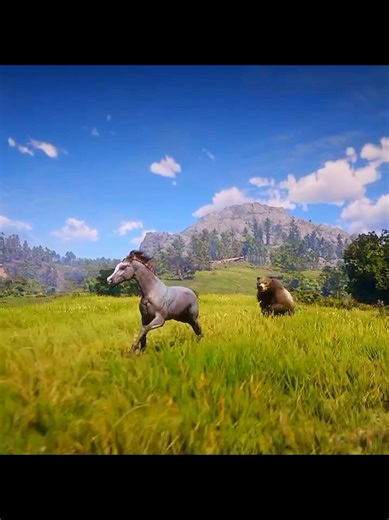 Bears Preying on Wild Horses in Their Natural Habitat