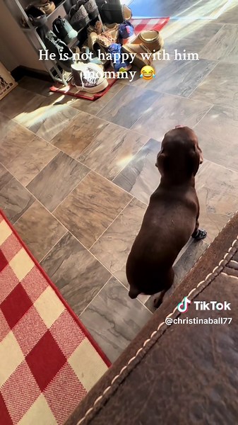 Christina Ball on TikTok