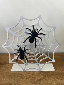 Spiderweb With Removable Spiders - Etsy