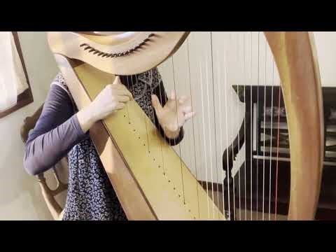 Niel Gow’s Lament《Scottish tune》for 22-string harp