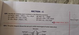 SECTION - CQ10. Identify the oxidising agent (oxidant) in the ... | Filo