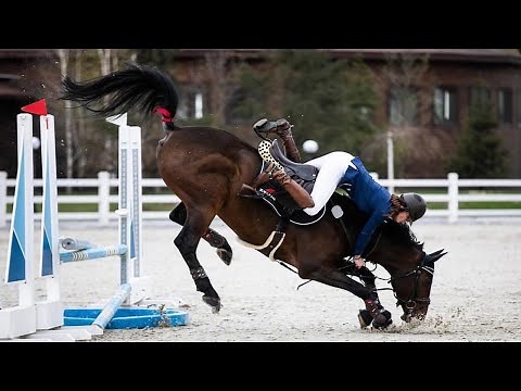 Horse show jumping falls compilation. Funny Horse Videos. Funniest Fails