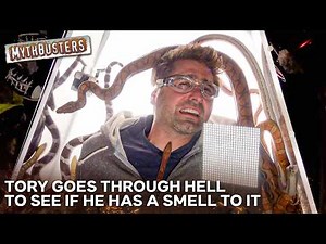 Does The Smell Of Fear Actually Exist? | MythBusters