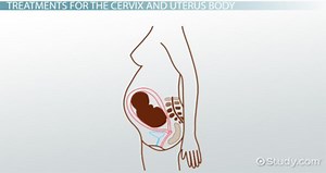 Treatments for Disorders of the Uterus