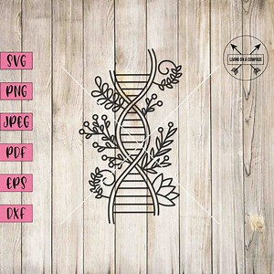 DNA Svg, DNA Png, DNA Clipart, Dna Cut File, Dna Vector, Genetics Svg, Genetics Clipart, Genes Clipart, Science Svg, Science Classroom Decor - Etsy UK