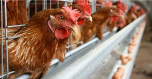 Leong Hup, Dindings fail rayuan denda dikenakan MyCC | Berita Harian