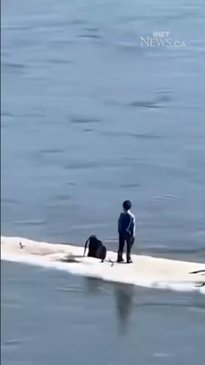 Family of 5 floats down Edmonton river on an ice floe