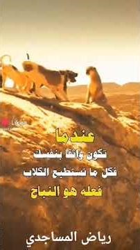 ١٠ مارس ٢٠٢٦